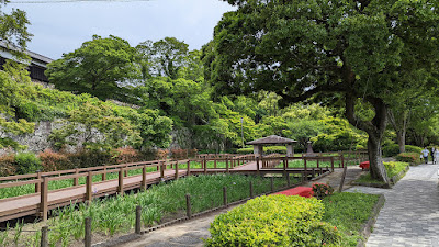 Iris Garden 사진 5