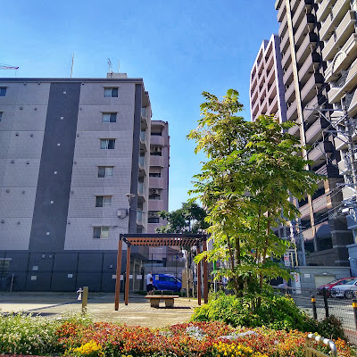 야쿠인키타 공원 사진 3