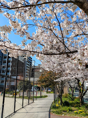 Higashisumiyoshi Park 사진 2
