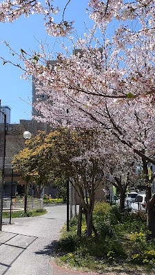 Higashisumiyoshi Park 사진 3