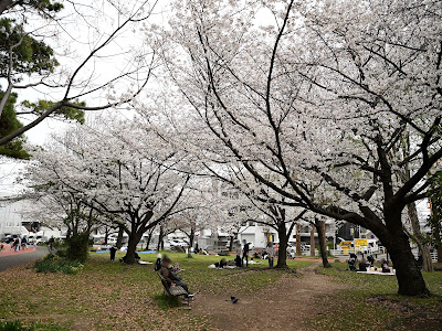 山王公園 芝生広場