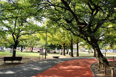 山王公園 芝生広場 사진 4