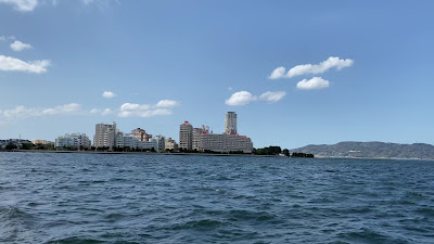 Momochihamanishi Ryokuchi Park 사진 3