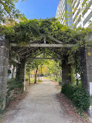 Momochihamahigashi Park 사진 5