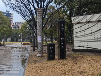 中央芝生広場（天神中央公園） 사진 5