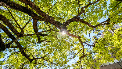 Katakasu Park 사진 4