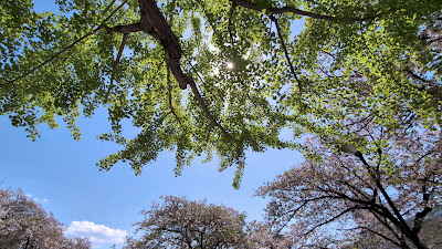 Katakasu Park 사진 3