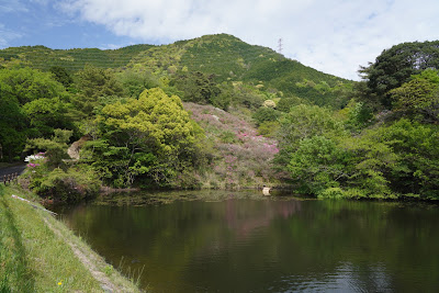 Sarayama Park 사진 4
