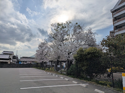 Yoshizuka Park 사진 2