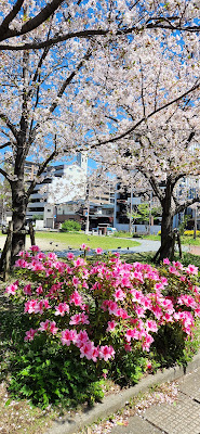 Hakomatsuminami Park 사진 2