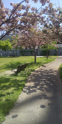 Maidashi Goshonouchi Park 사진 3