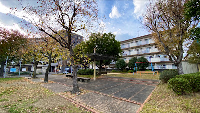 하코마츠히가시 공원 사진 4