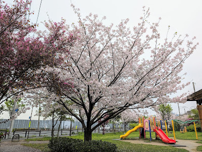 Hakozakiyoneichimaru Park 사진 2