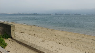 Saitozaki Ryokuchi Park 사진 3