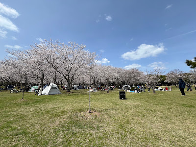 Large Open Field