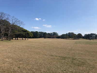 Large Open Field 사진 5