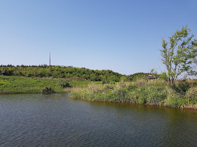 Village House (Activity Facility) 사진 5