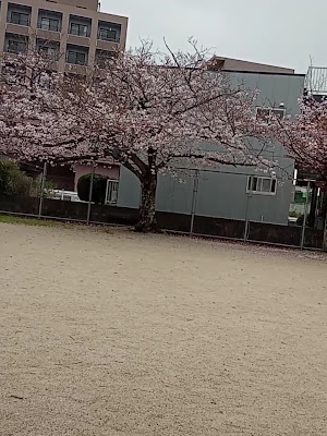 Kamitobaru Park 사진 3