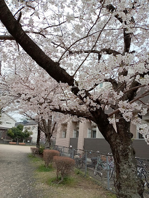 Kamitobaru Park 사진 5