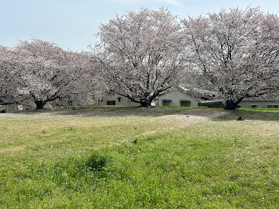 Mizuki Fortress Ruins