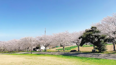 Nishiaburayama Central Park 사진 3