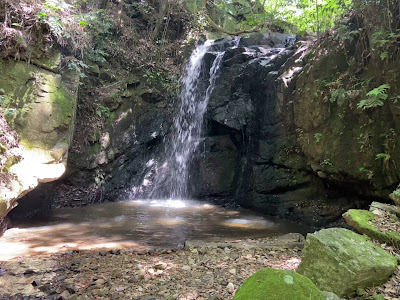 Ayugaeri Falls 사진 3