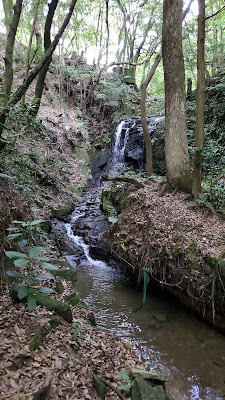 Ayugaeri Falls 사진 5