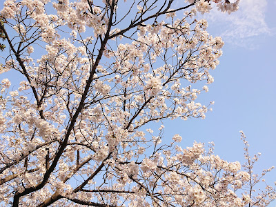 Josui Park 사진 2
