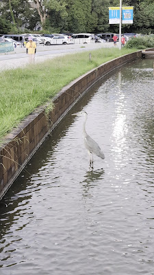 오호리공원 등롱 사진 3