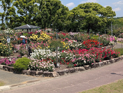 Kayocho Park Rose Garden
