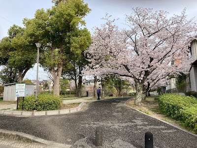 Ouraike Park 사진 2