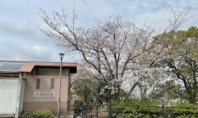 Ouraike Park 사진 5