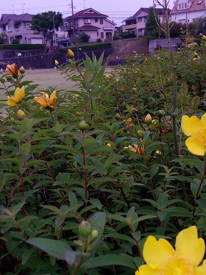 Sanokinrin Park 사진 4
