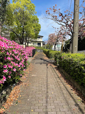 Sanokinrin Park 사진 5