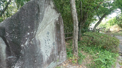 History Sports Park 사진 4