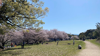 Mizuki Fortress Ruins Park 사진 5