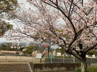 公園 사진 3