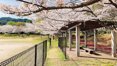 Shigedome Central Park 사진 3