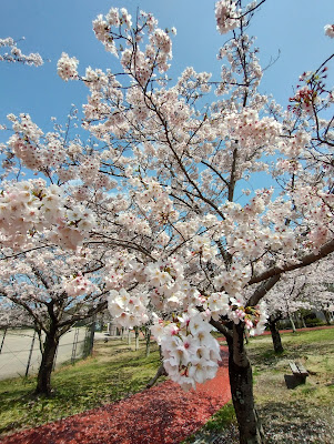 Shigedome Central Park 사진 4