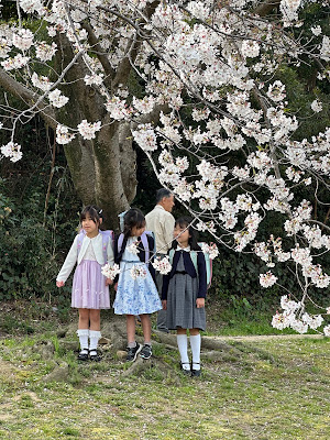 水城跡の桜並木 사진 5