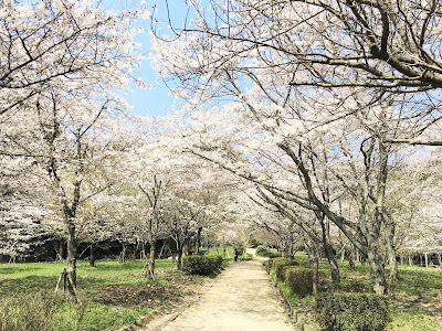 Dazaifu Citizen's Forest 사진 2
