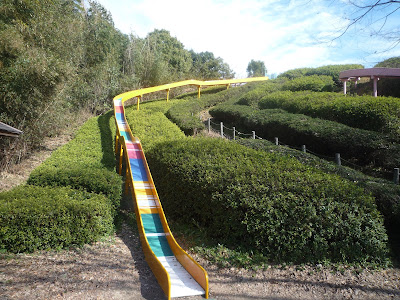 Dazaifubairin Athletic Sports Park 사진 4