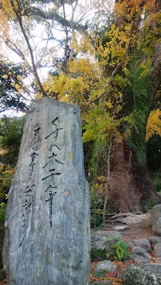 필총 사진 4