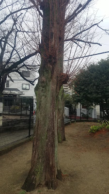 Shinwa Park 사진 3