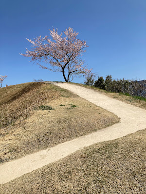오노죠(산성) 유적 사진 4