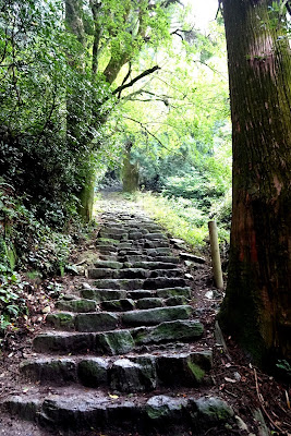 竈門神社 中宮跡 사진 4