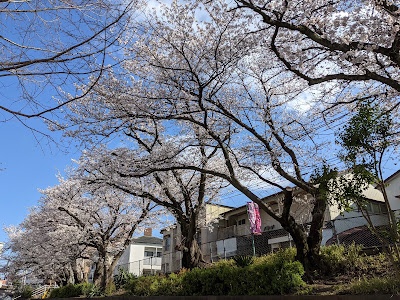Takeoka Park 사진 4