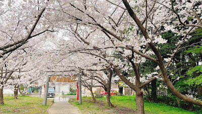 Hashimotominami Park 사진 3