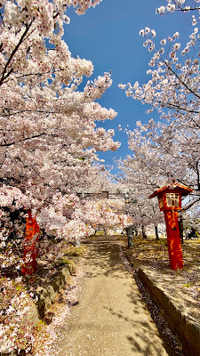 Hashimotominami Park 사진 4