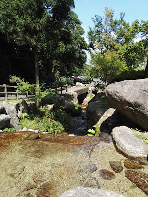 一本松公園(昭和の森) 川遊び場 사진 4